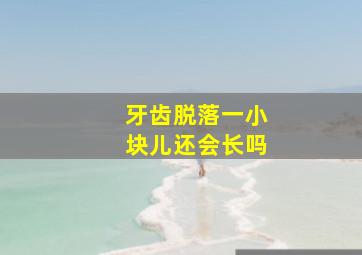 牙齿脱落一小块儿还会长吗