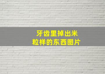 牙齿里掉出米粒样的东西图片