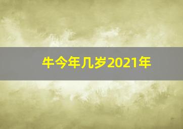 牛今年几岁2021年