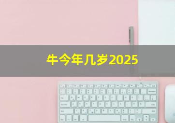 牛今年几岁2025