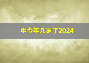 牛今年几岁了2024