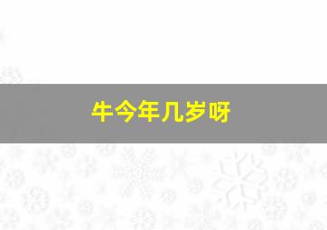 牛今年几岁呀