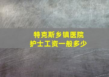 特克斯乡镇医院护士工资一般多少