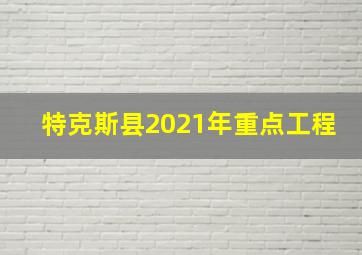 特克斯县2021年重点工程