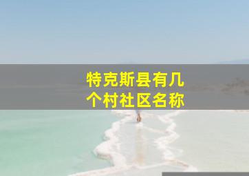 特克斯县有几个村社区名称