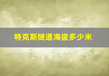 特克斯隧道海拔多少米