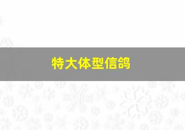 特大体型信鸽