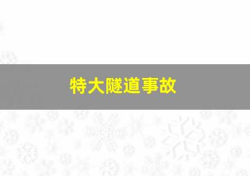 特大隧道事故