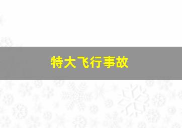 特大飞行事故