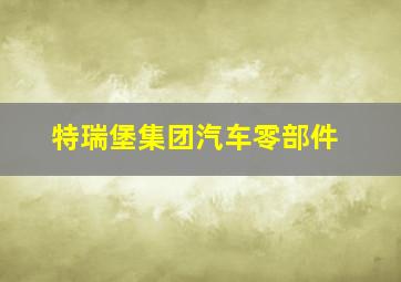 特瑞堡集团汽车零部件