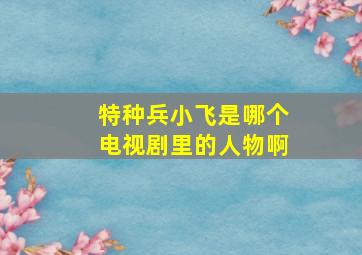 特种兵小飞是哪个电视剧里的人物啊