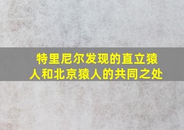 特里尼尔发现的直立猿人和北京猿人的共同之处