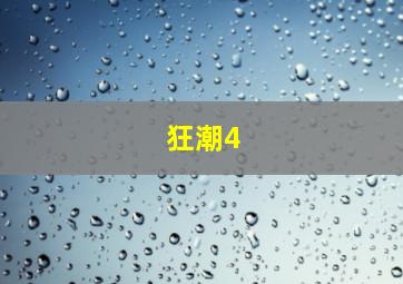 狂潮4