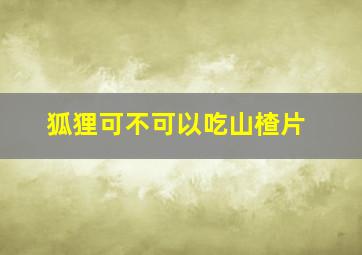 狐狸可不可以吃山楂片