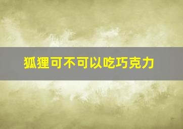 狐狸可不可以吃巧克力