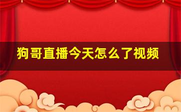 狗哥直播今天怎么了视频