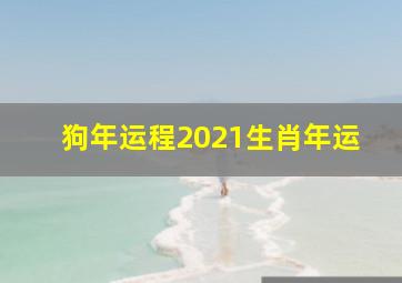 狗年运程2021生肖年运