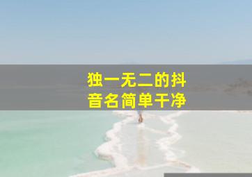 独一无二的抖音名简单干净