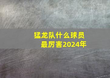 猛龙队什么球员最厉害2024年