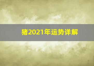 猪2021年运势详解