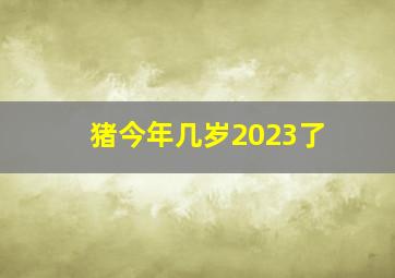 猪今年几岁2023了