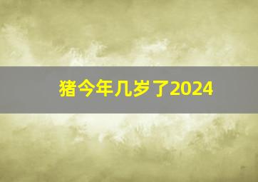 猪今年几岁了2024