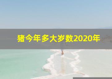 猪今年多大岁数2020年