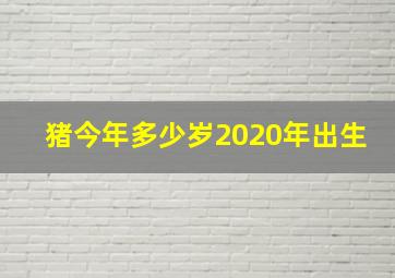 猪今年多少岁2020年出生