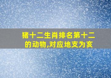 猪十二生肖排名第十二的动物,对应地支为亥