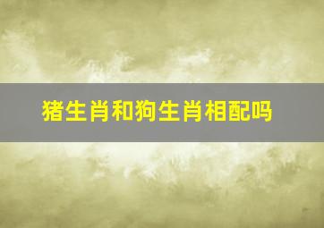 猪生肖和狗生肖相配吗