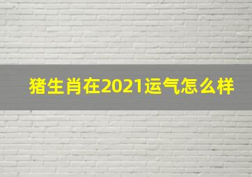 猪生肖在2021运气怎么样