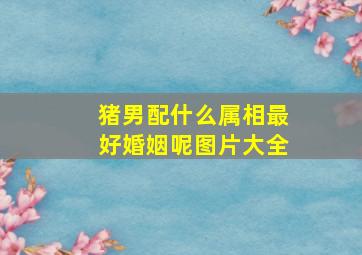 猪男配什么属相最好婚姻呢图片大全