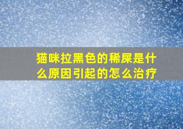 猫咪拉黑色的稀屎是什么原因引起的怎么治疗