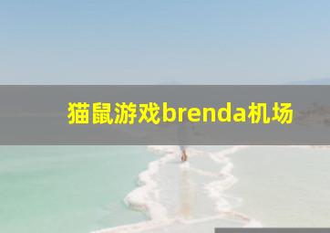 猫鼠游戏brenda机场