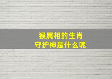 猴属相的生肖守护神是什么呢