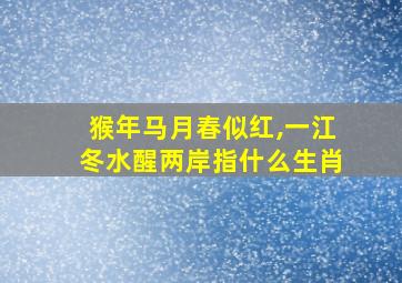 猴年马月春似红,一江冬水醒两岸指什么生肖