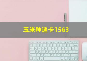 玉米种迪卡1563