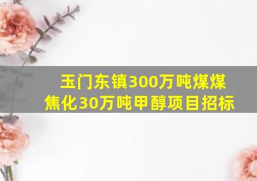 玉门东镇300万吨煤煤焦化30万吨甲醇项目招标