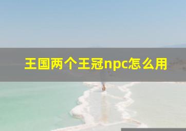 王国两个王冠npc怎么用