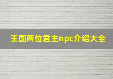 王国两位君主npc介绍大全