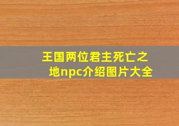 王国两位君主死亡之地npc介绍图片大全