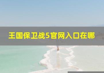 王国保卫战5官网入口在哪