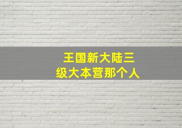 王国新大陆三级大本营那个人