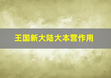 王国新大陆大本营作用