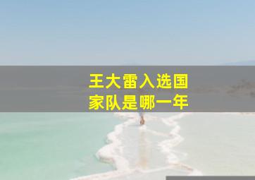 王大雷入选国家队是哪一年