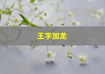 王字加龙