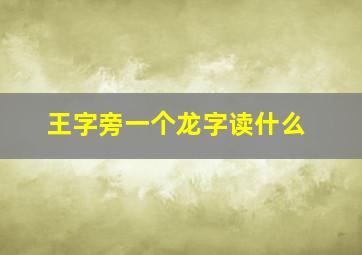 王字旁一个龙字读什么