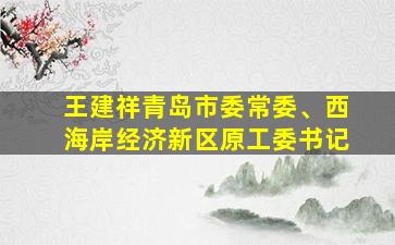 王建祥青岛市委常委、西海岸经济新区原工委书记