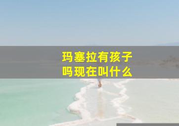 玛塞拉有孩子吗现在叫什么