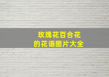 玫瑰花百合花的花语图片大全